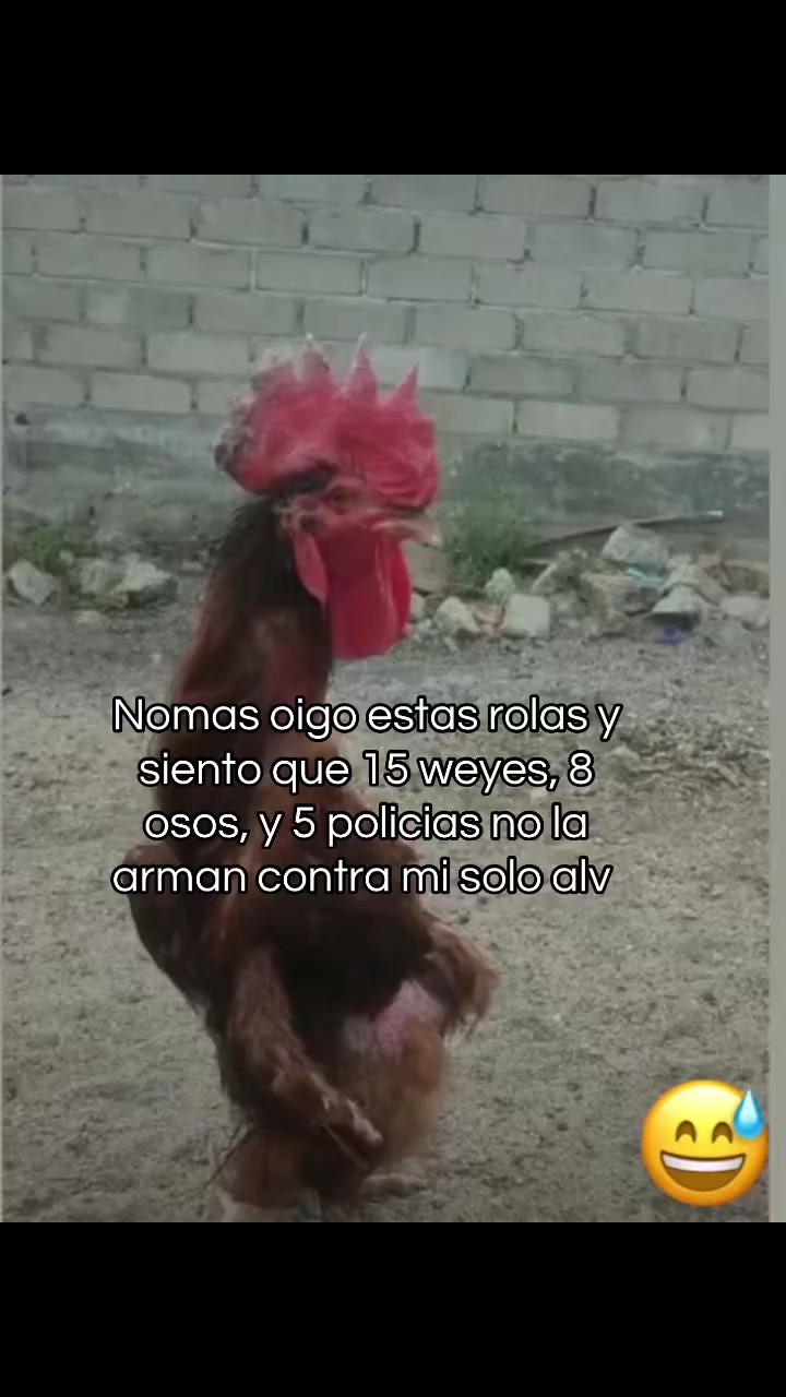 @️🪰