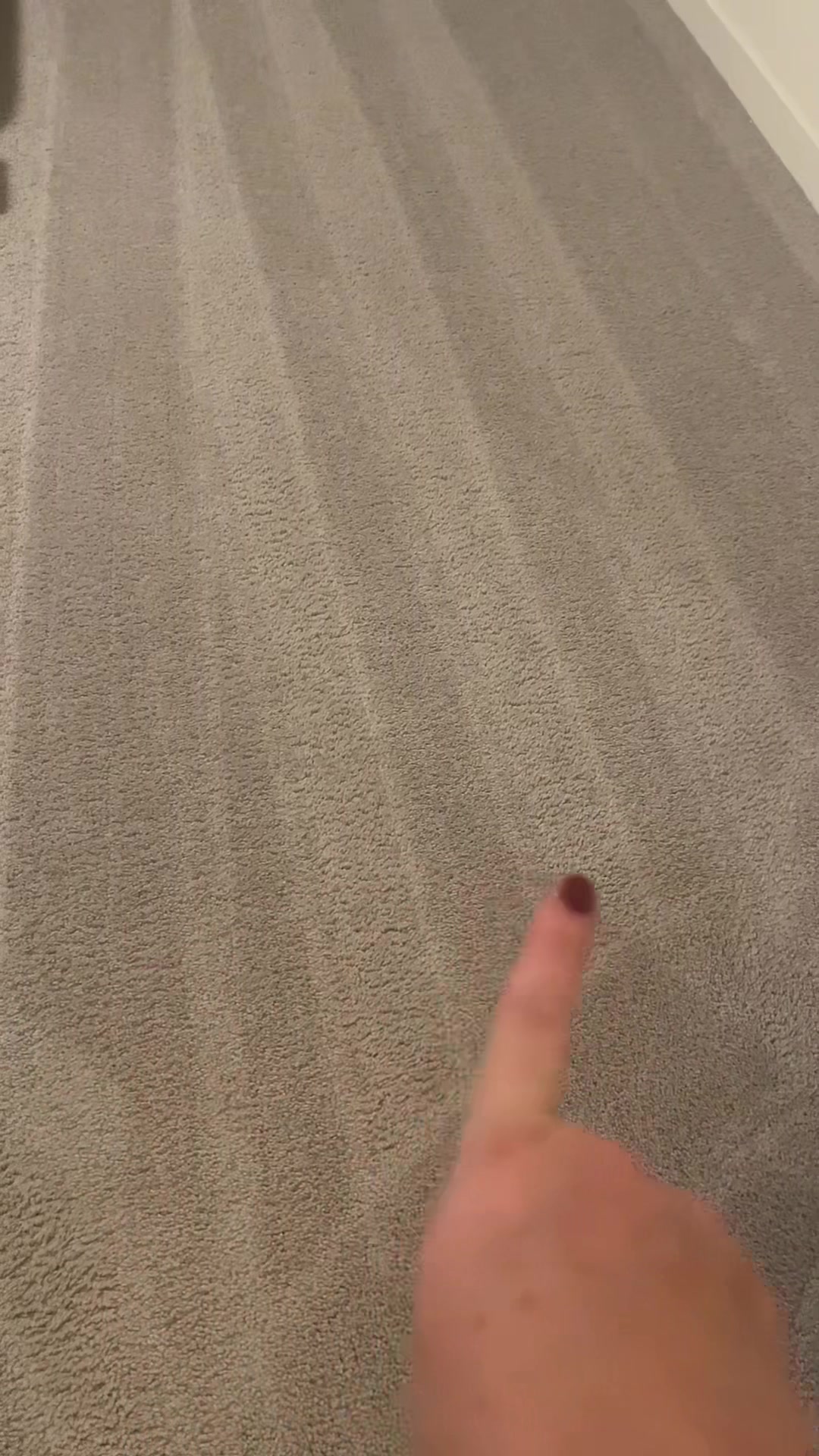 @snackdealer80