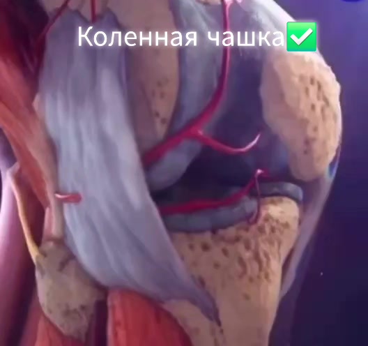 @Здоровый позвоночник♡Юж.Корея