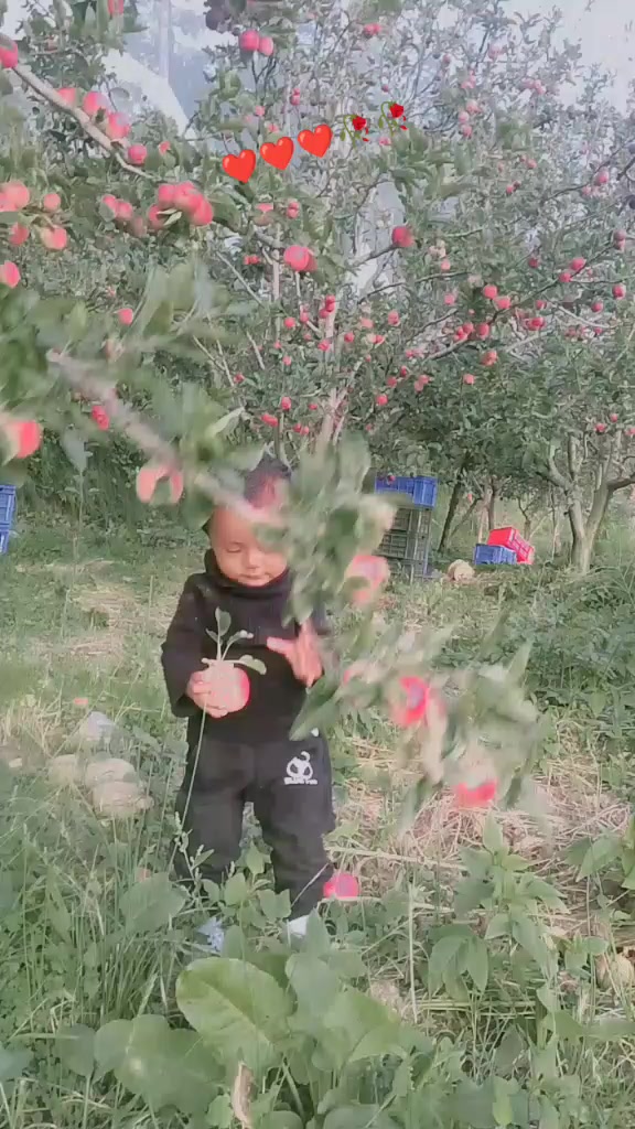 @Janaki Thapa