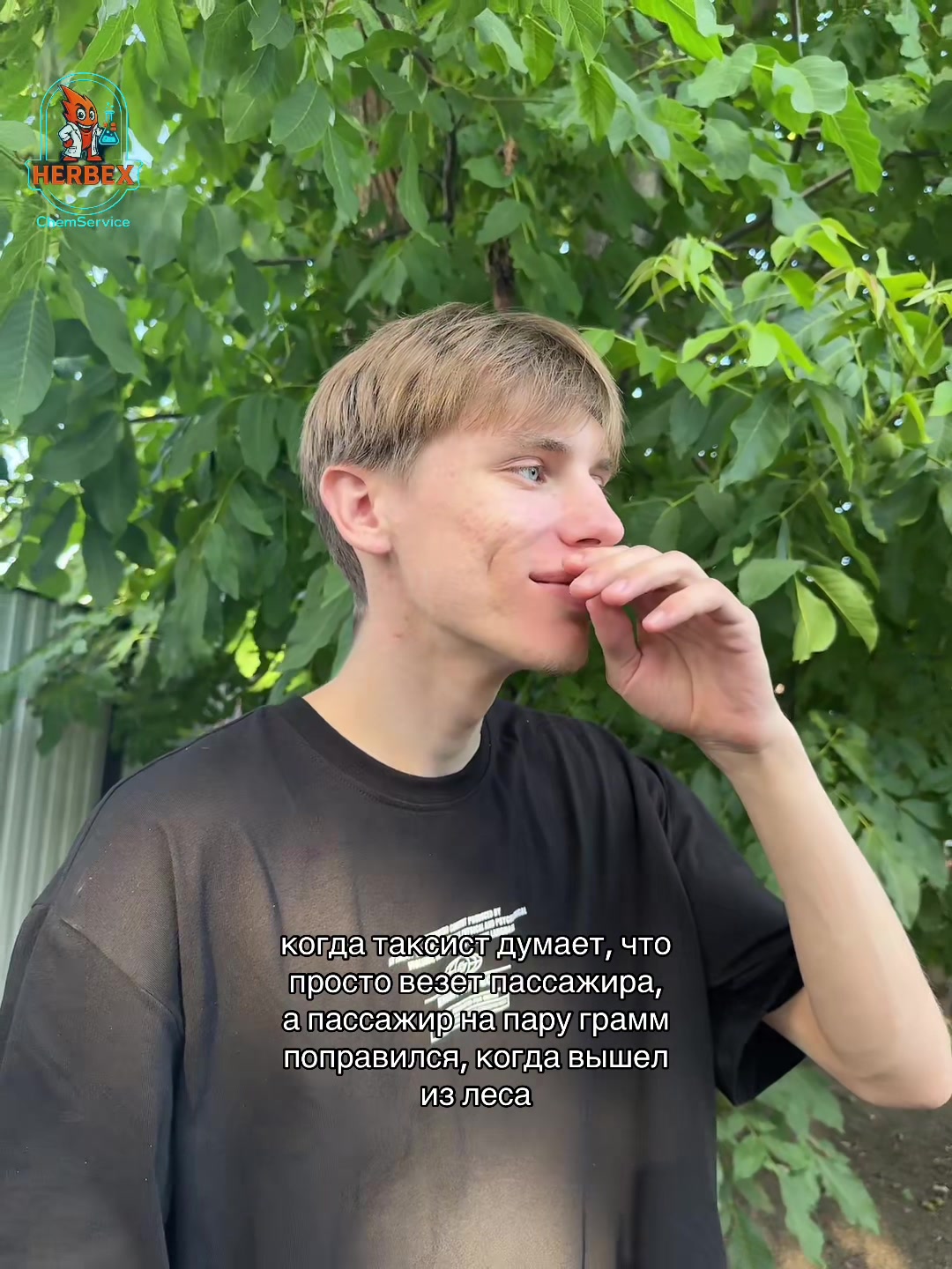 @Tgk: SONLUVIK