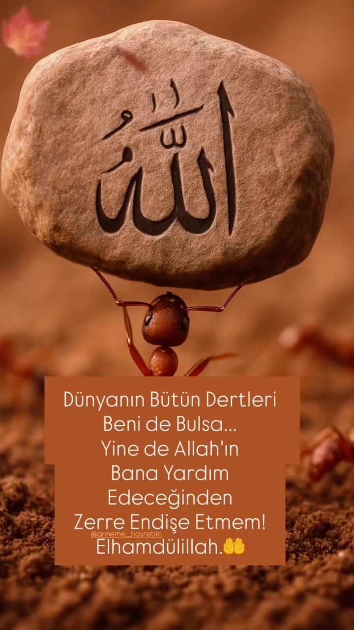 @fenerbahçe SK