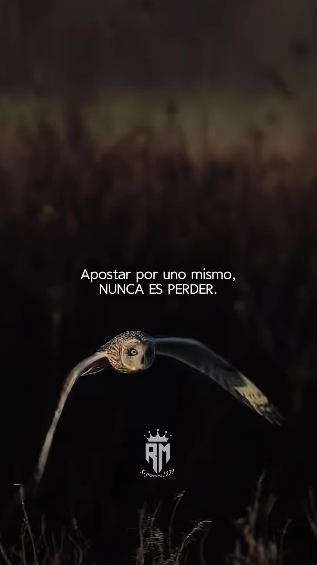 @Rigomacz1999