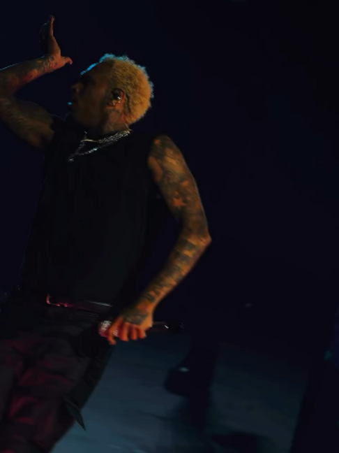 @chrisbreezybrown