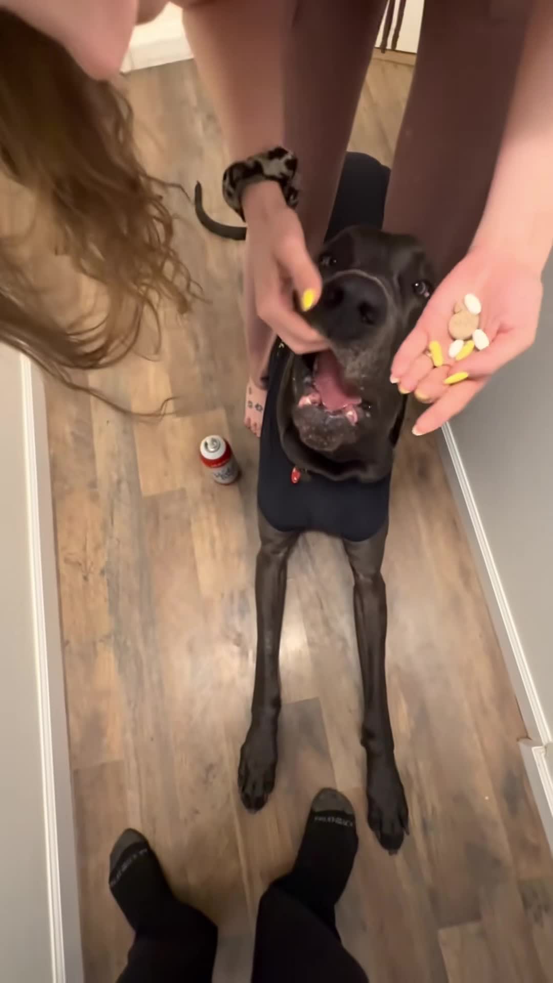 @cuteanimals472