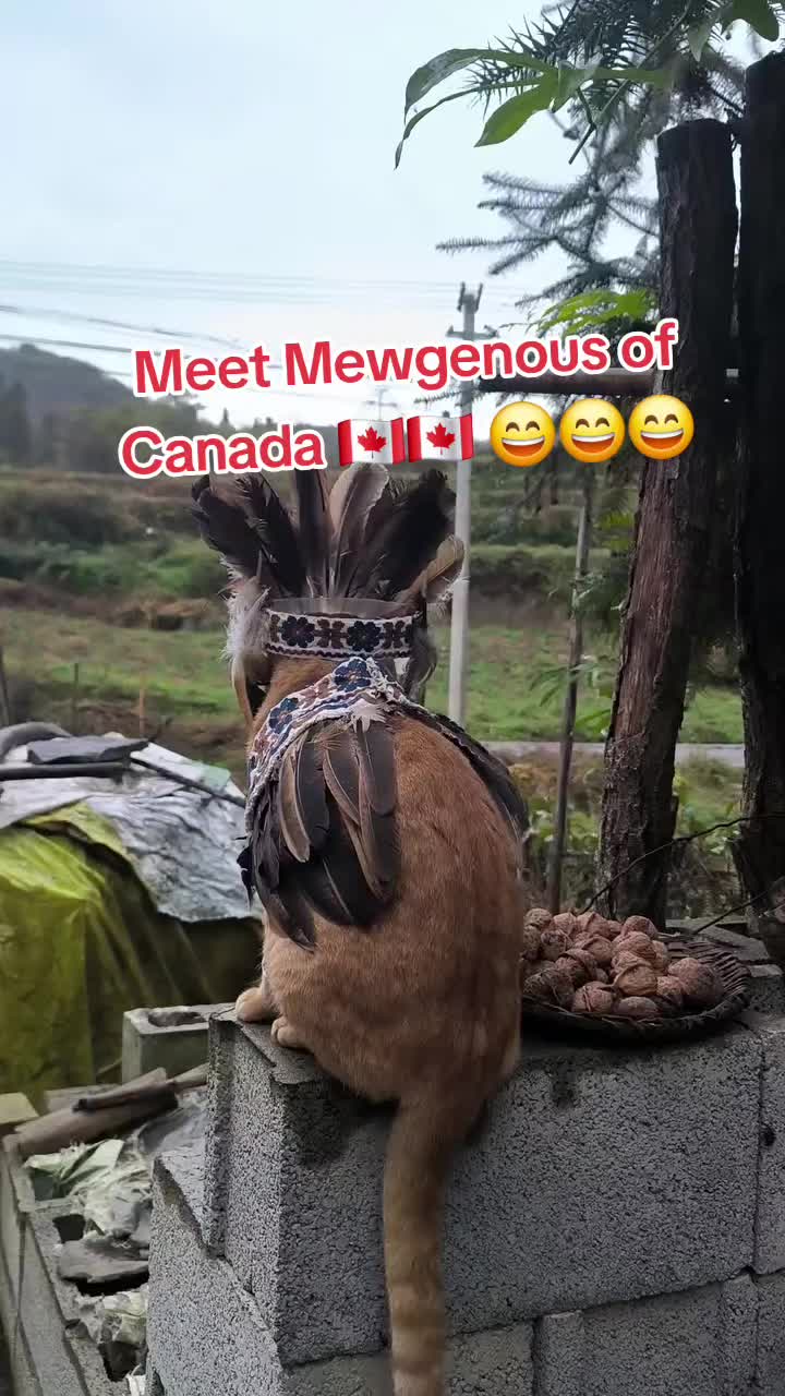 @TheZeroGuy