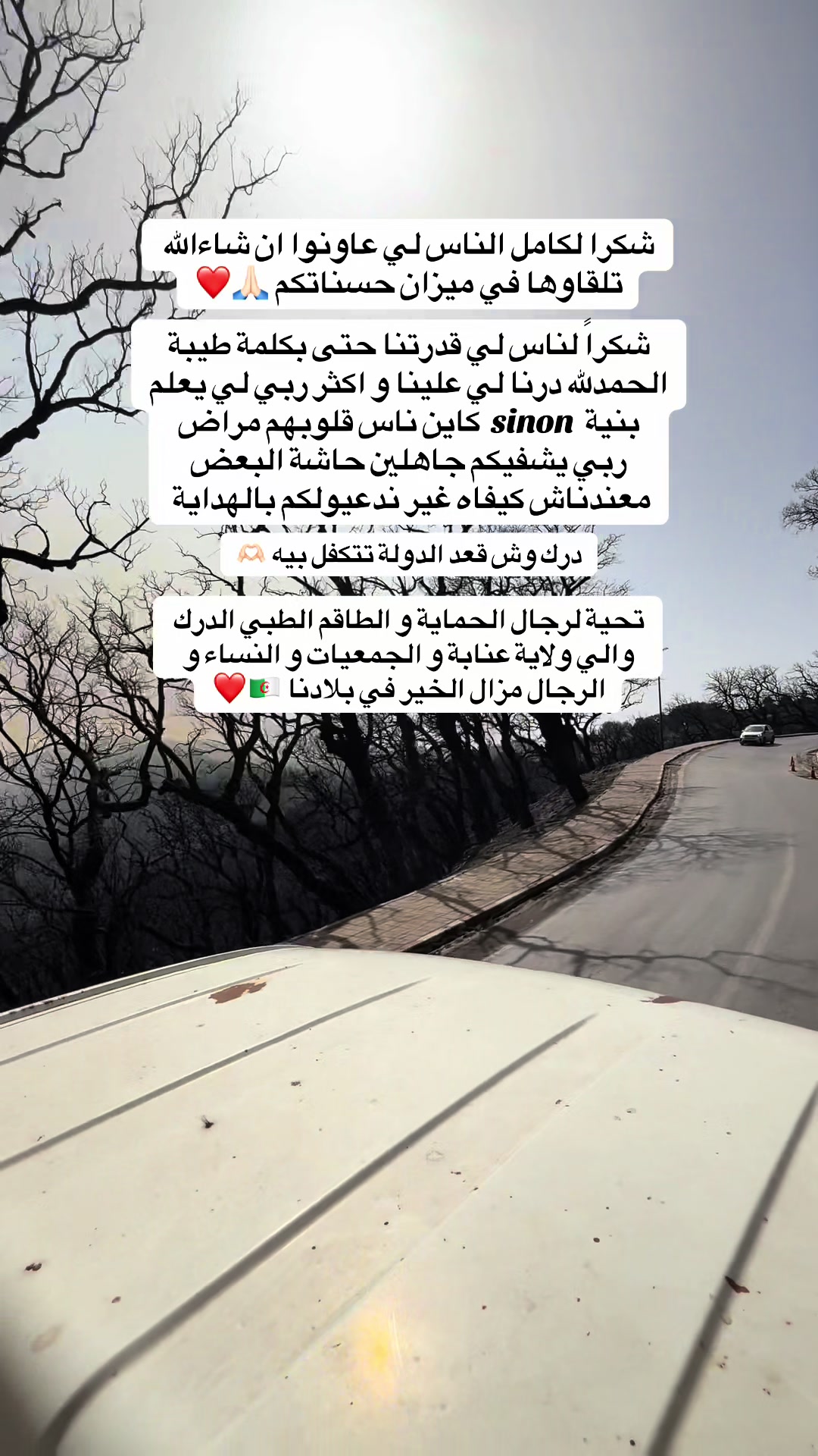 @Rourou 🦋| روميساء