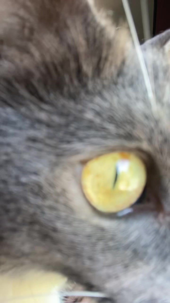 @LunaPuhtuna