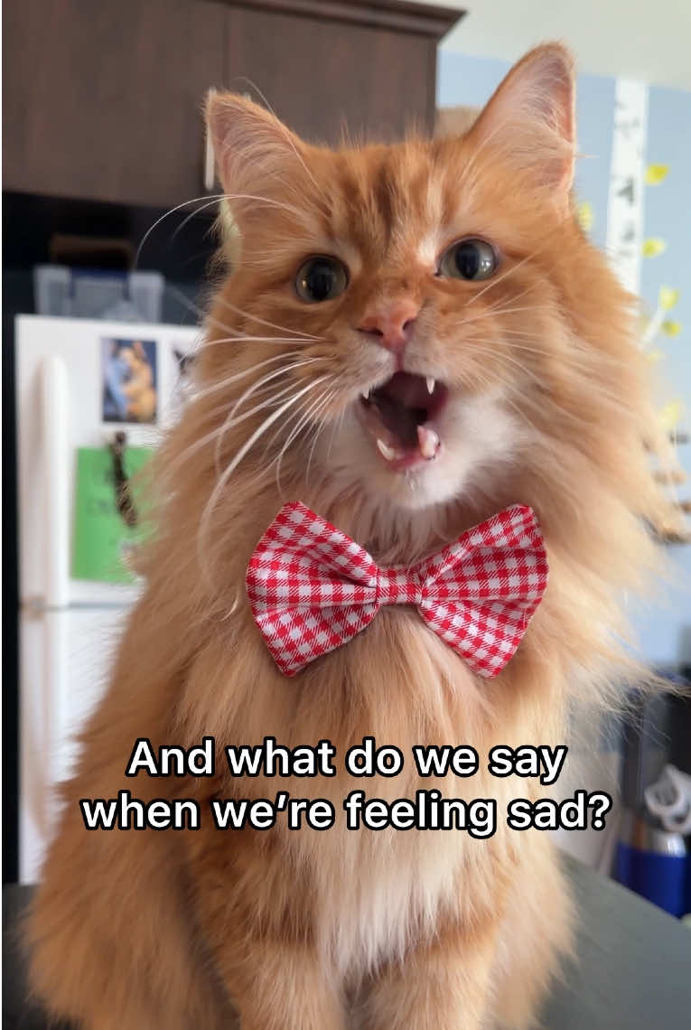 @The Oreo Cat