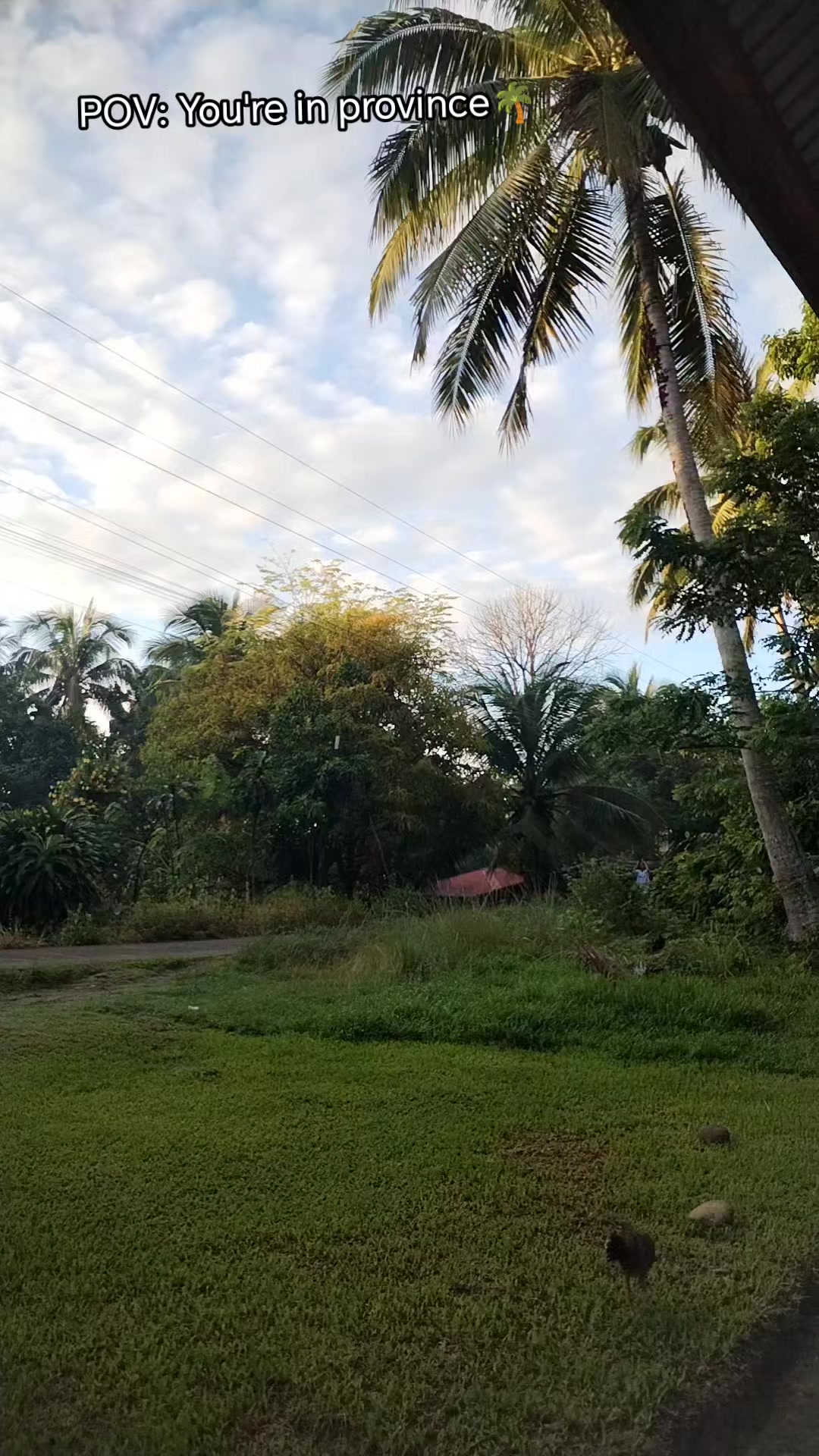 @𝓡𝓸𝓼𝓮𝓮𝓮𝔂𝓪𝓱'?🌷