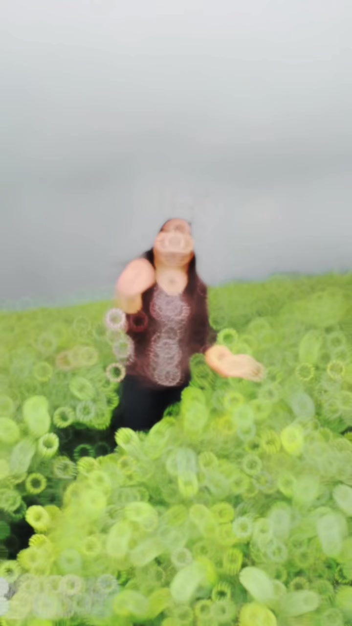 @Anupama poddar