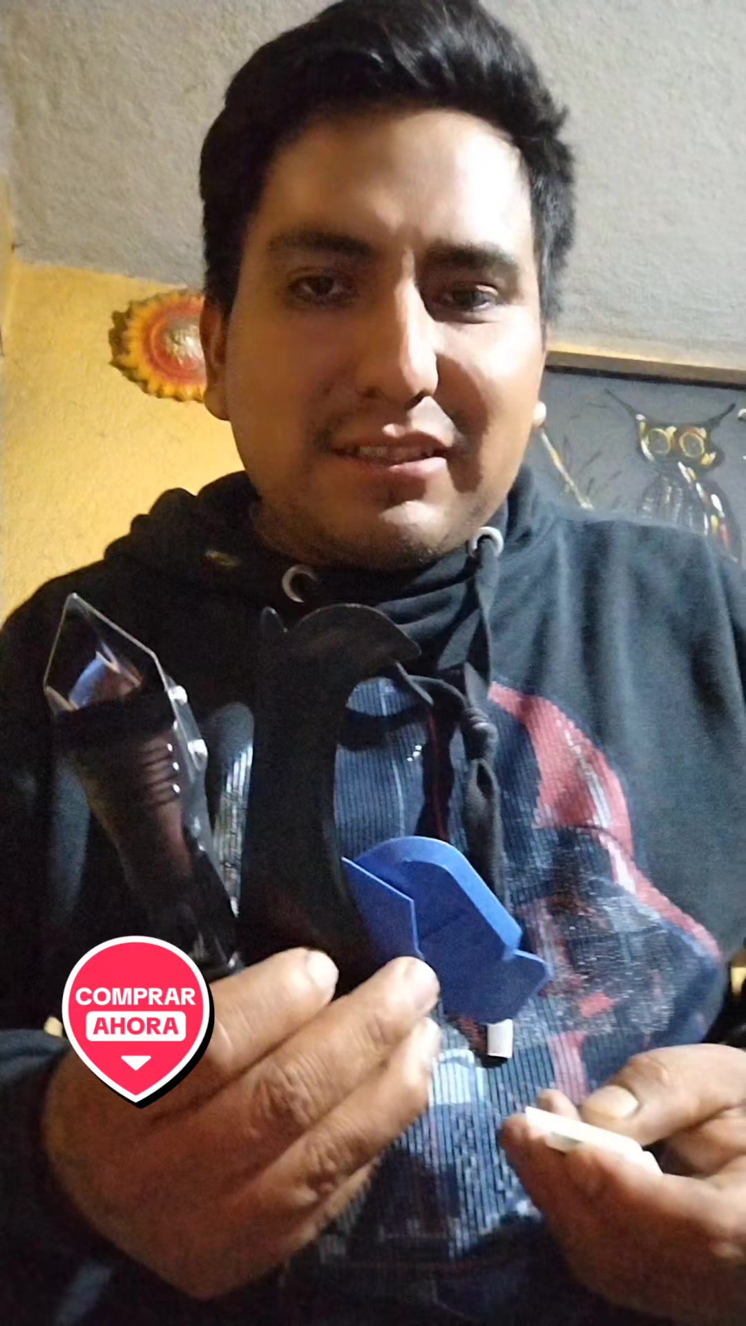 @albañiles de Puebla y pintores