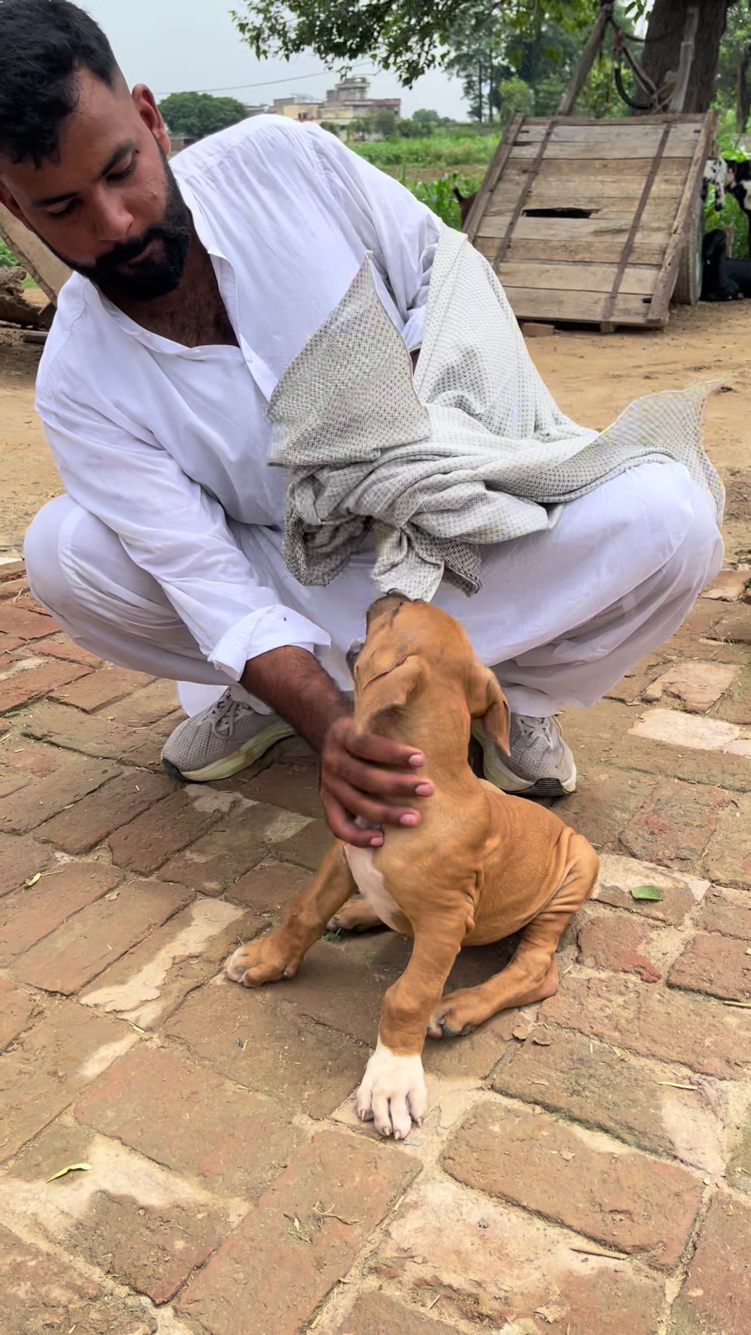 @Abdullah Mattu