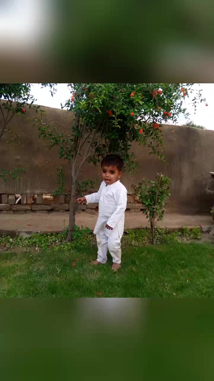 @Muhammad Amir S