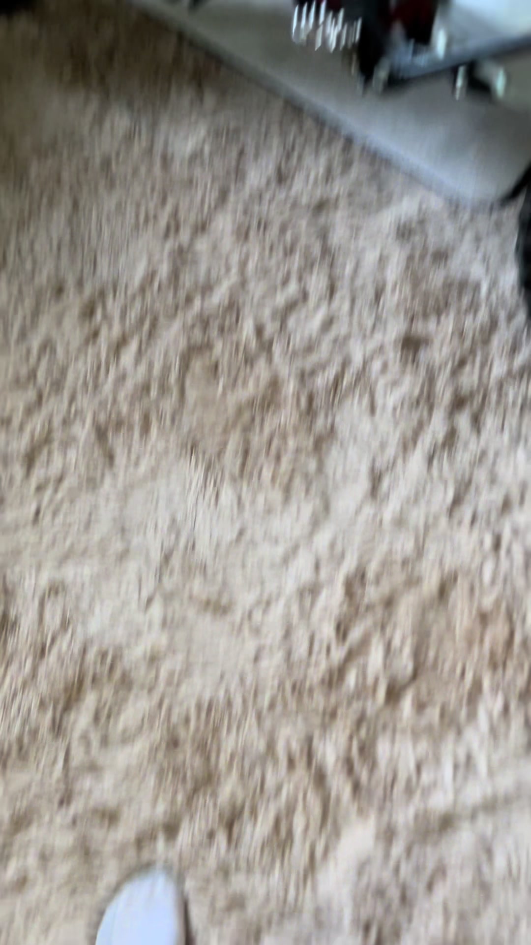 @kai_ridez