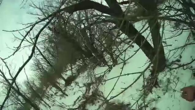 @Op. Tyrr