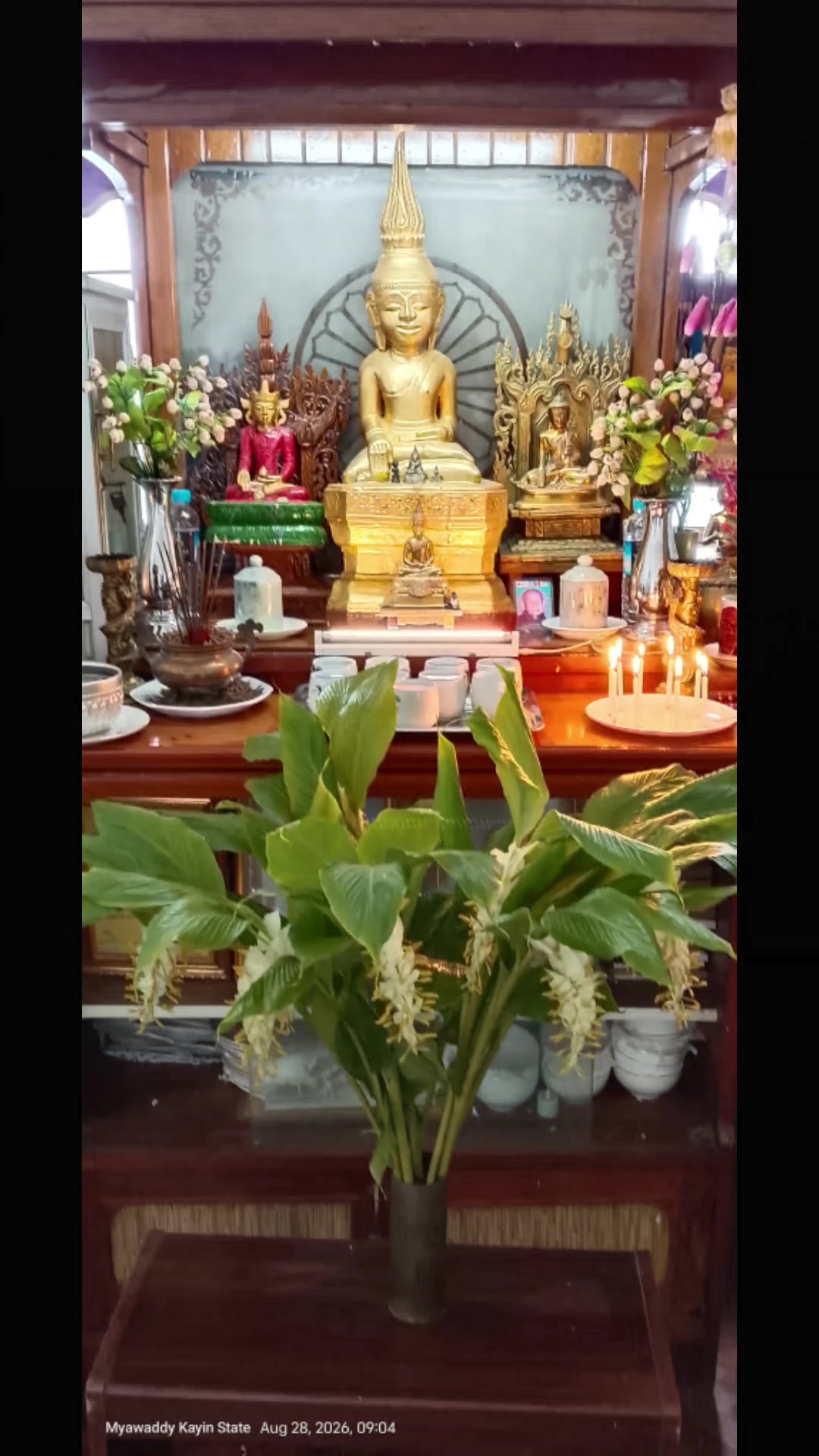 @သဘာဝရဲ့လူသား