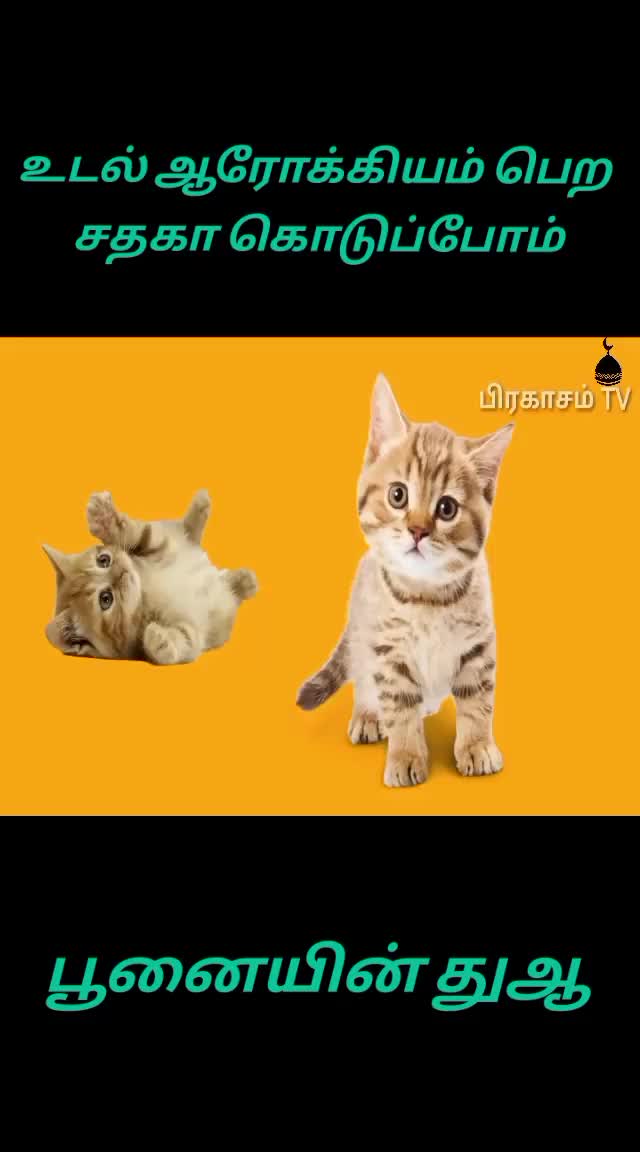 @الحافظ لقمان