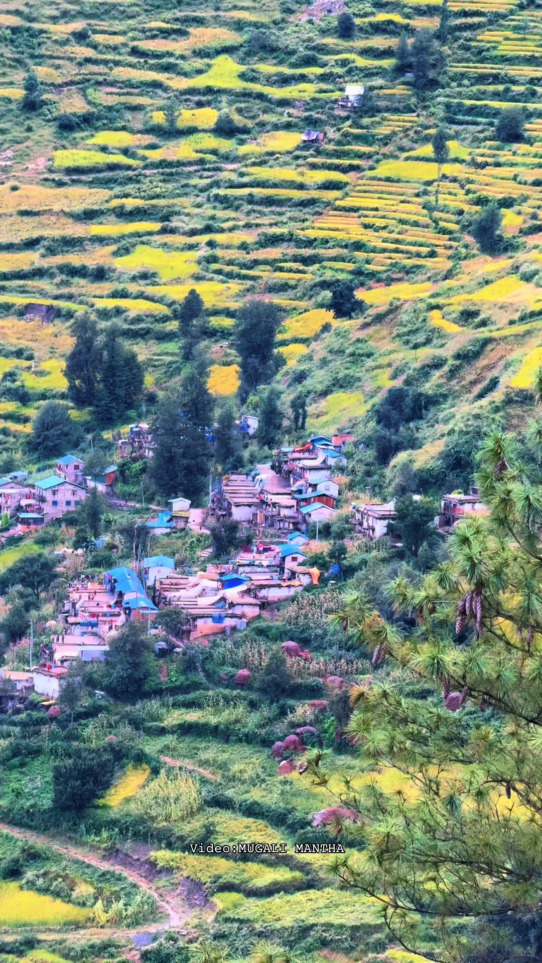 @मुगालि मान्ठ🇳🇵