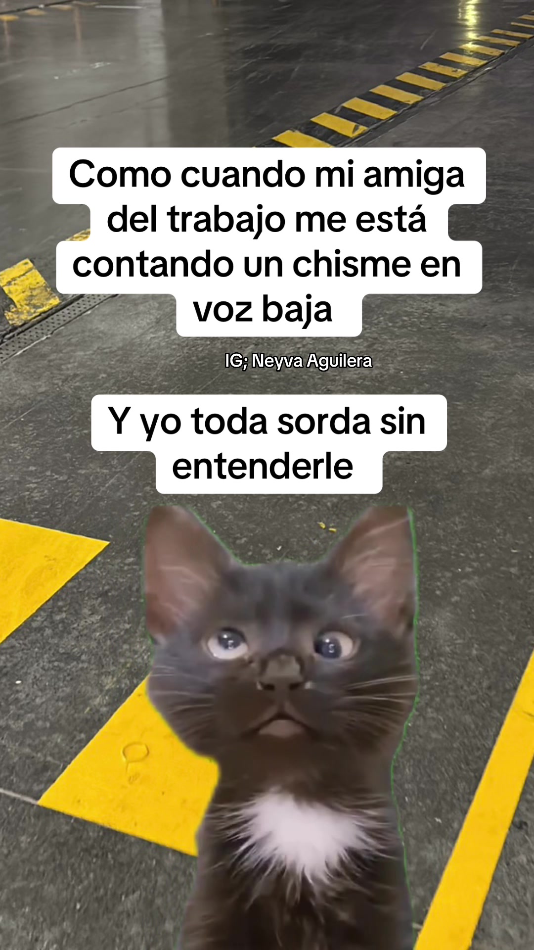 @Neyva Aguilera