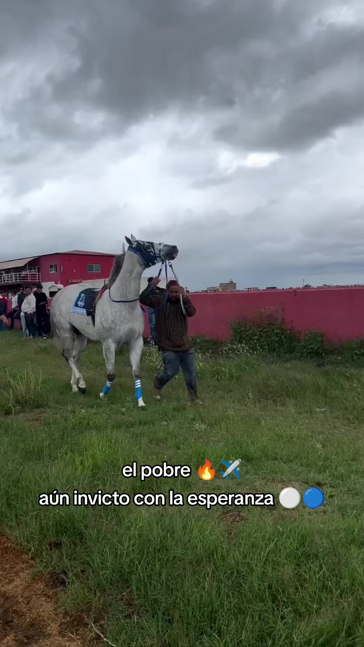 @carriles altos de jalisco🐎