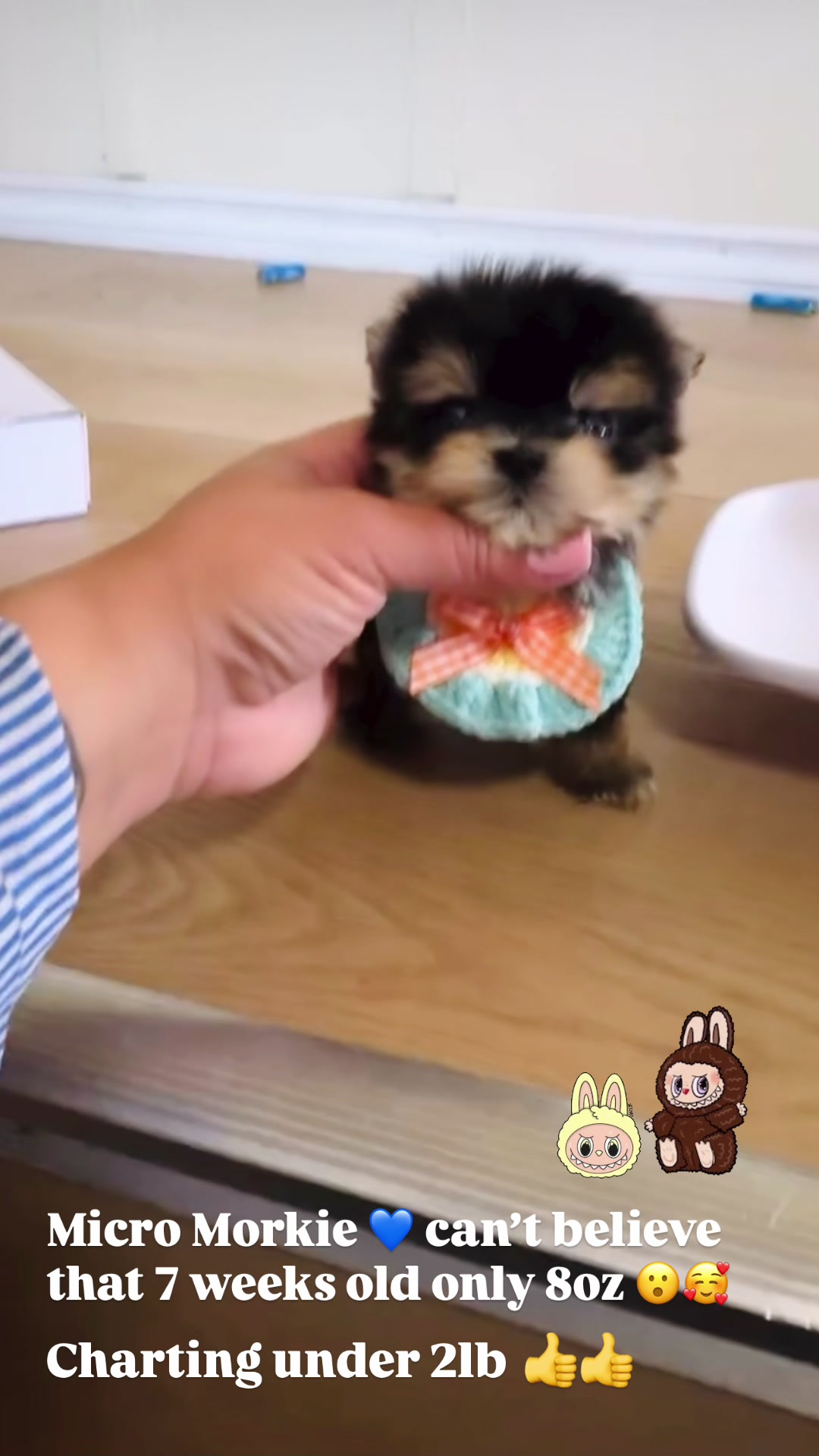 @pupsrepublicusa