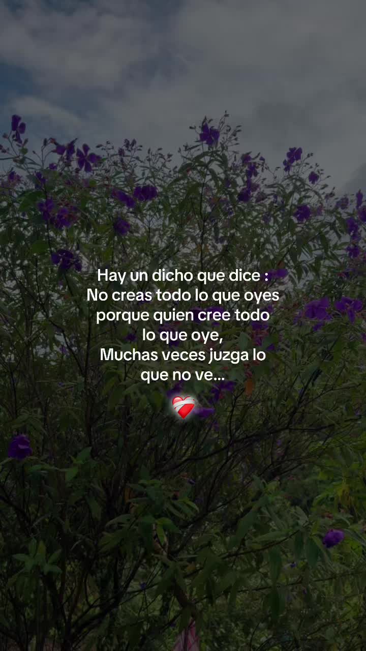 @Chinita. D.M