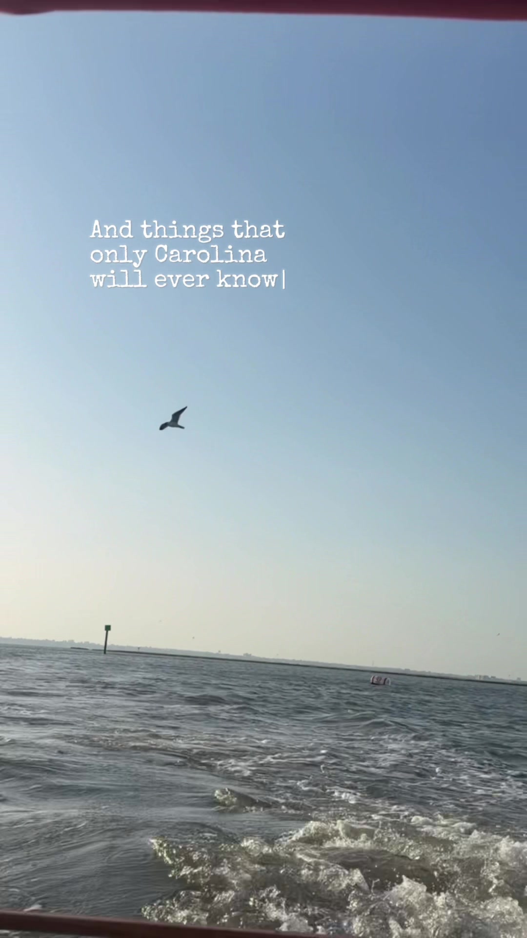 @karlieinbloom