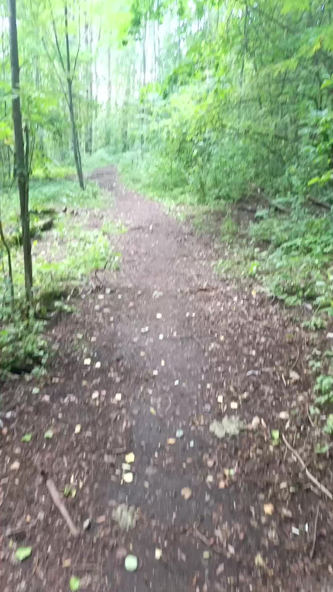 @мучачо