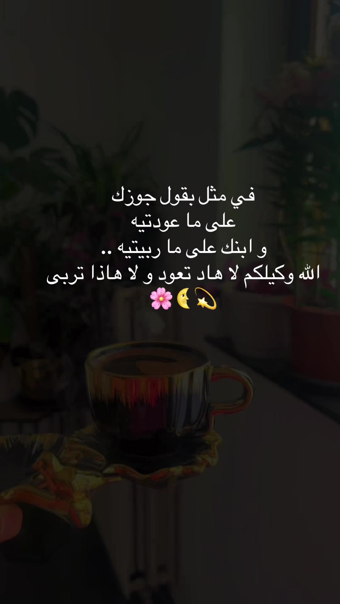 @🦋Abir🦋