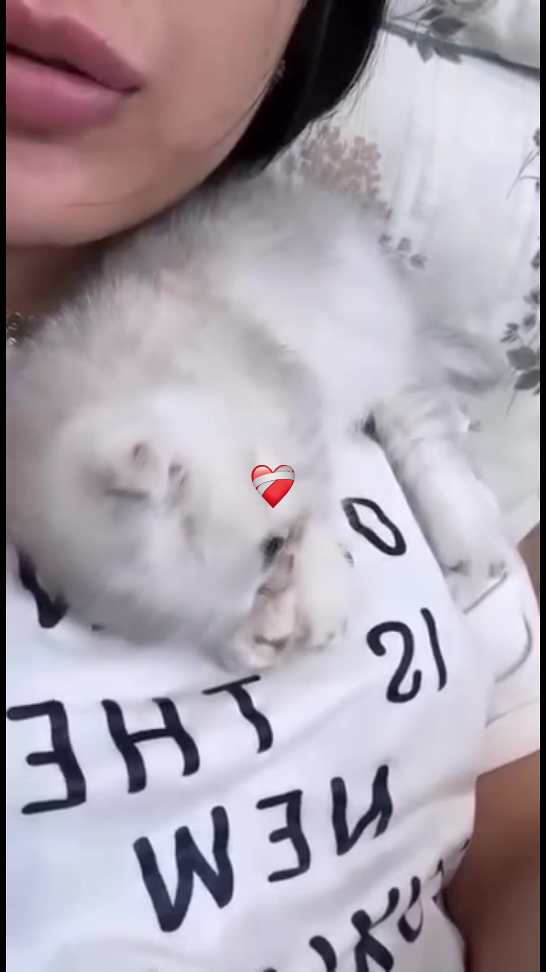 @Шазо 🖤