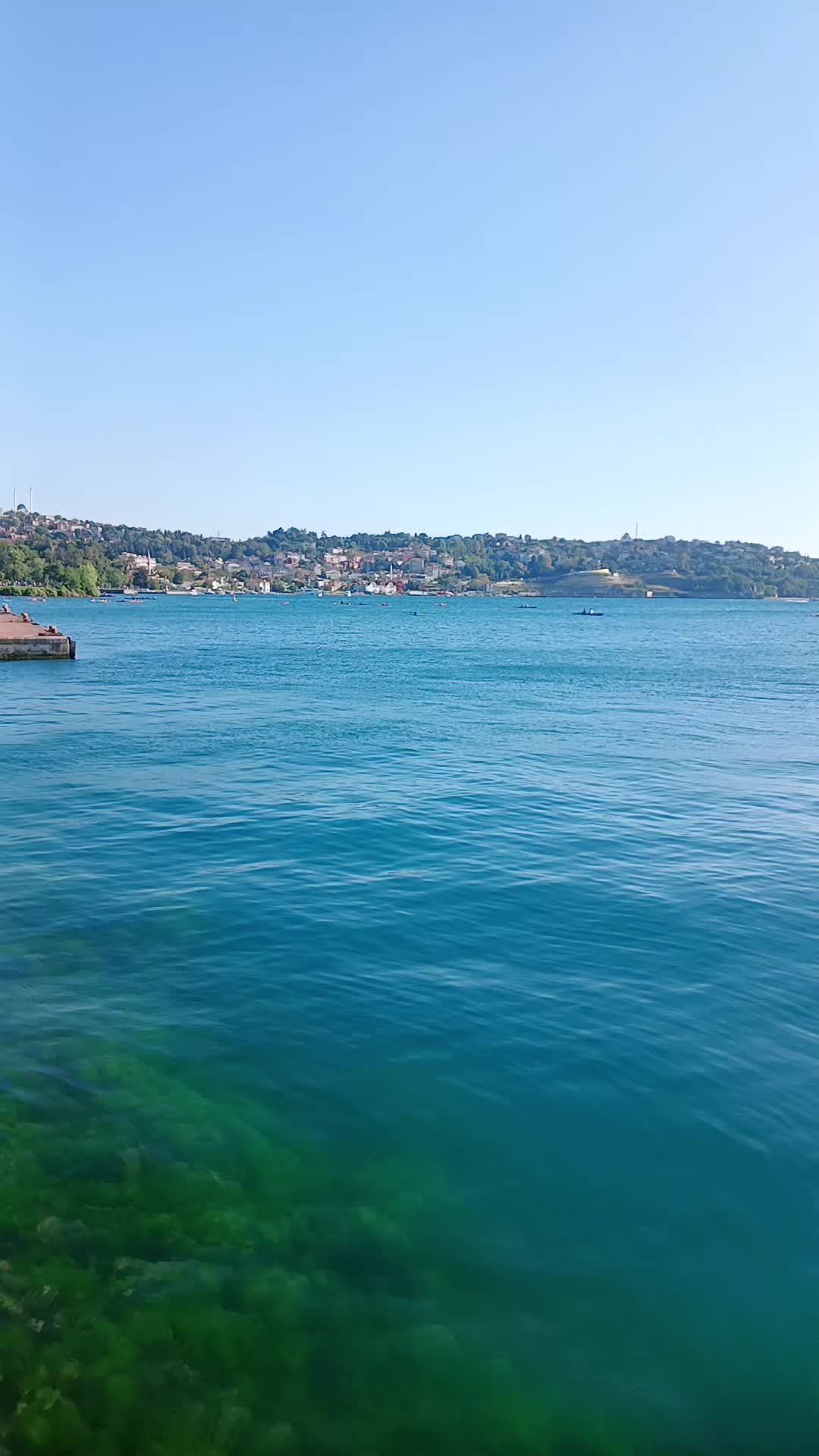 @deniz