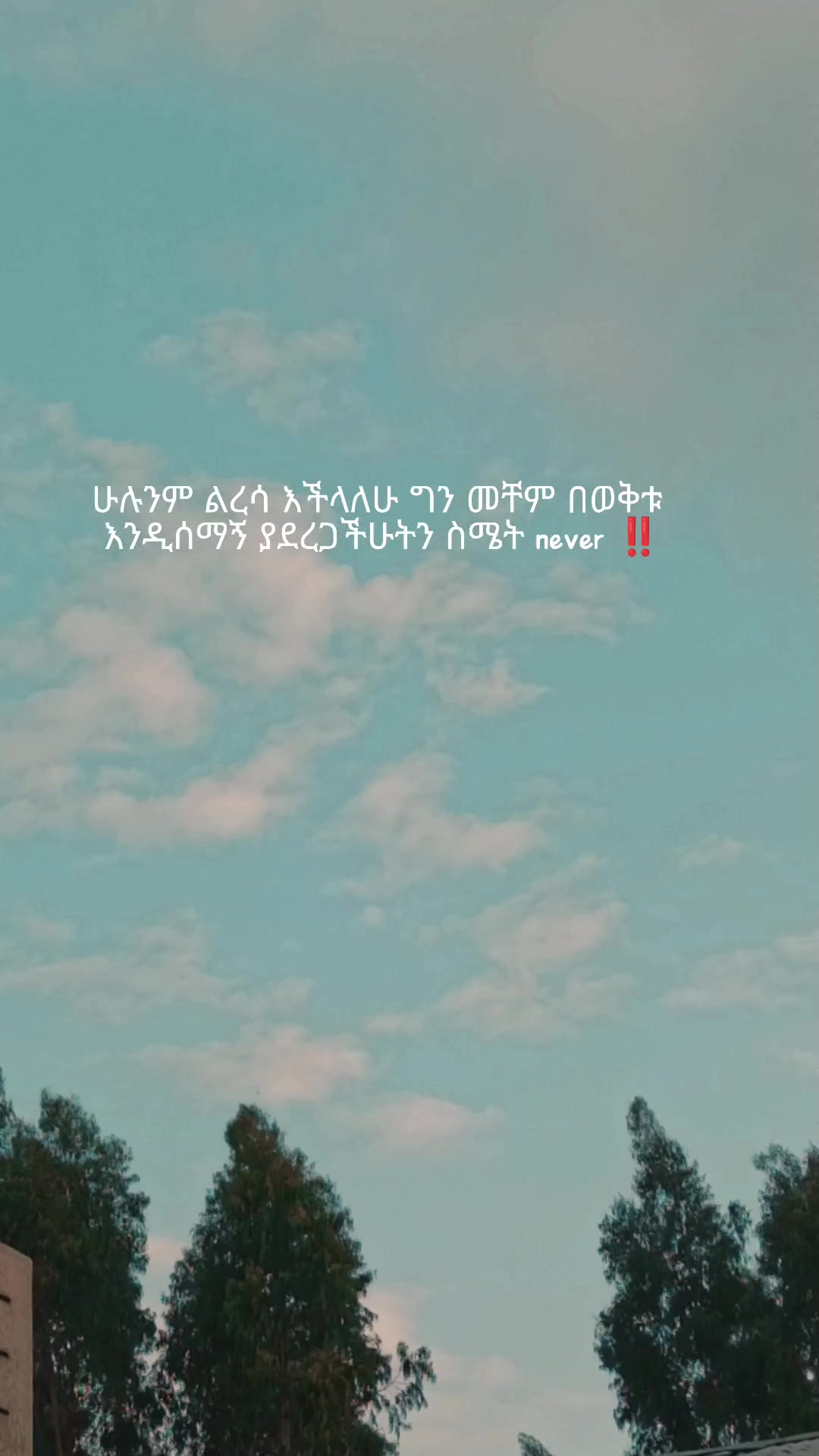 @โจ TEMU Quotes