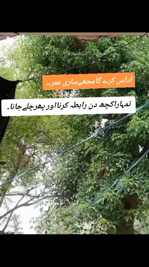 @محمد ارشد چوہان PTV