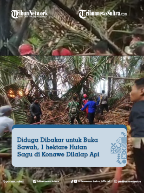 @Tribunnews Sultra Official