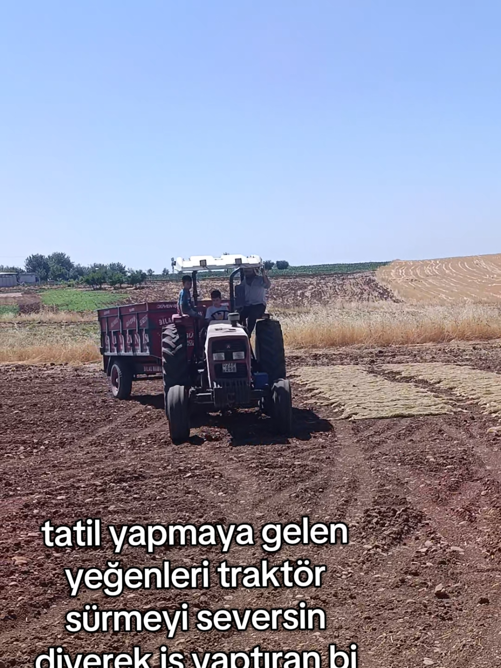 @Dilan Han