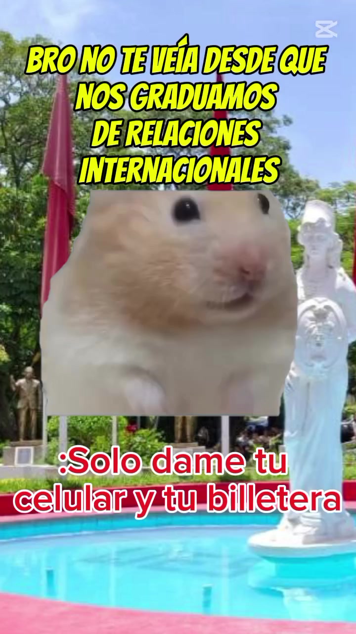 @chalateco100%
