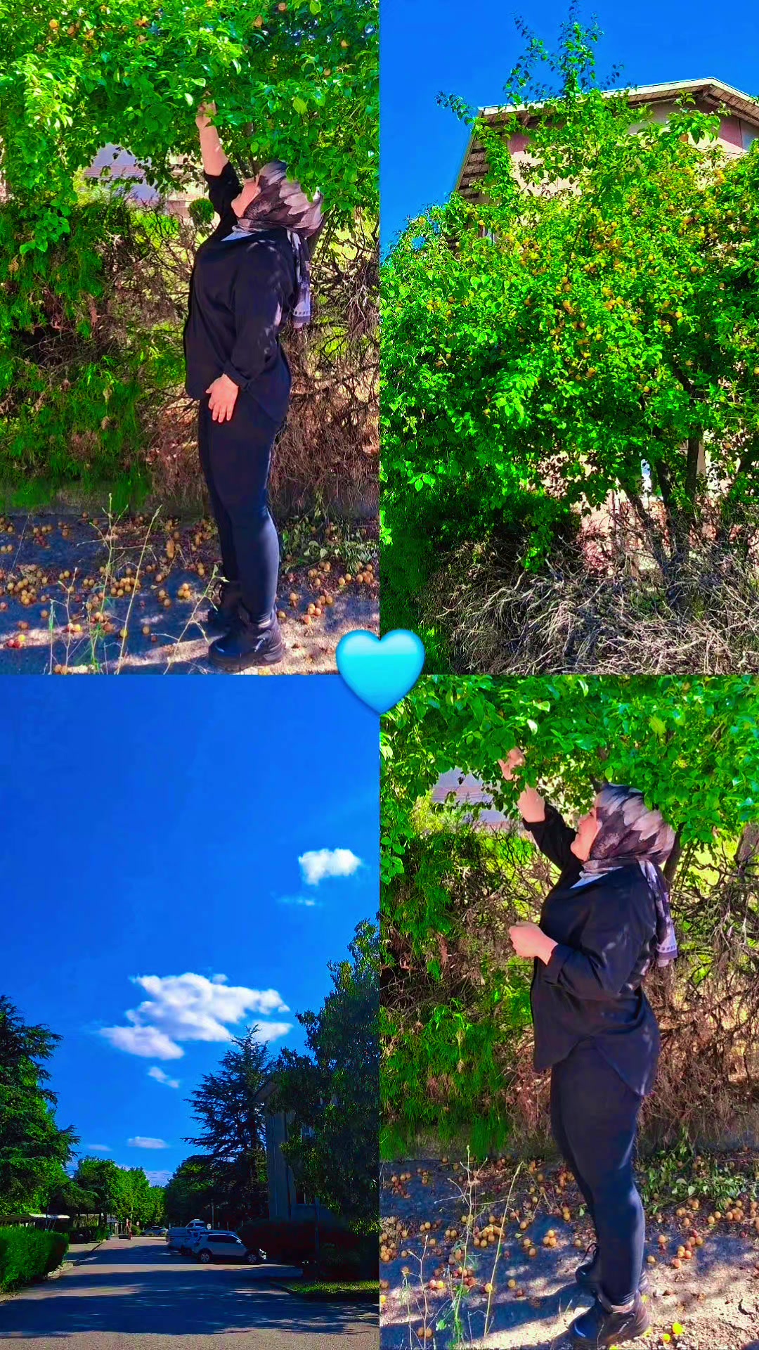 @🍂🌹