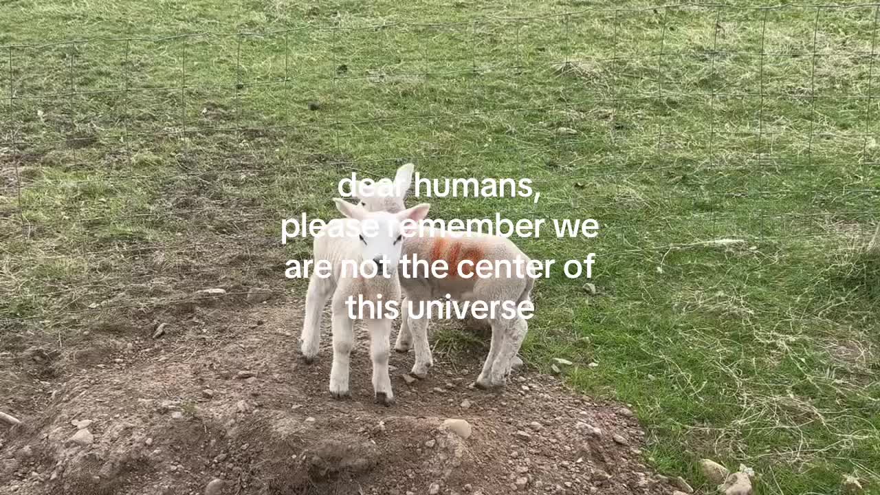 @official_ecoroots