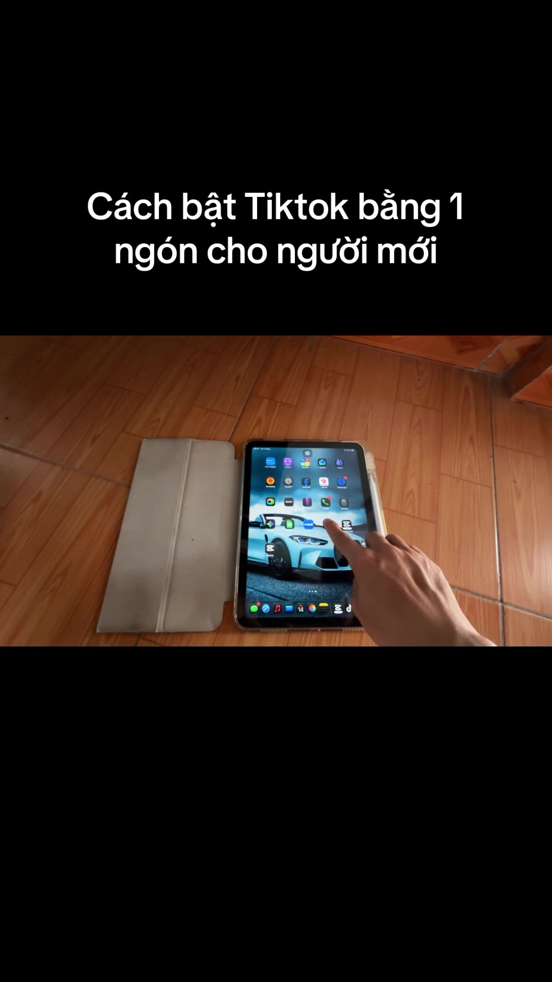 @Mèo thông thái