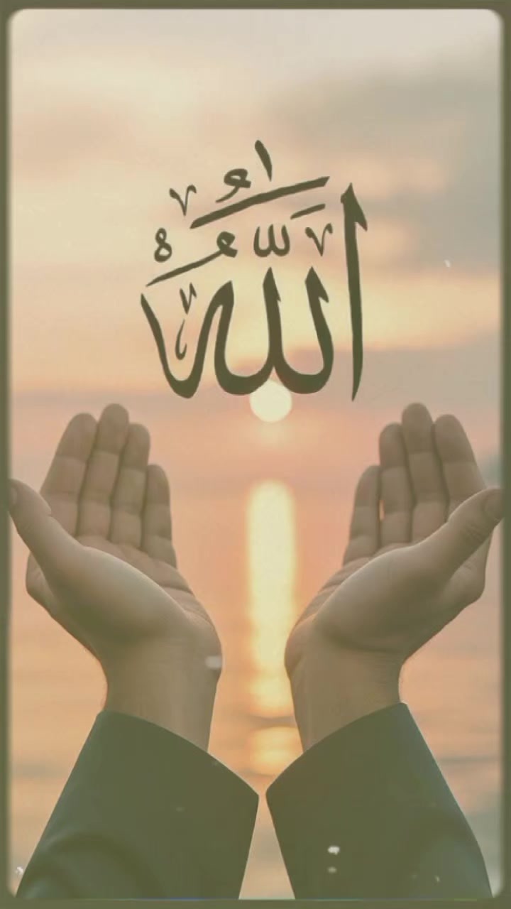@Alizeey noor❤