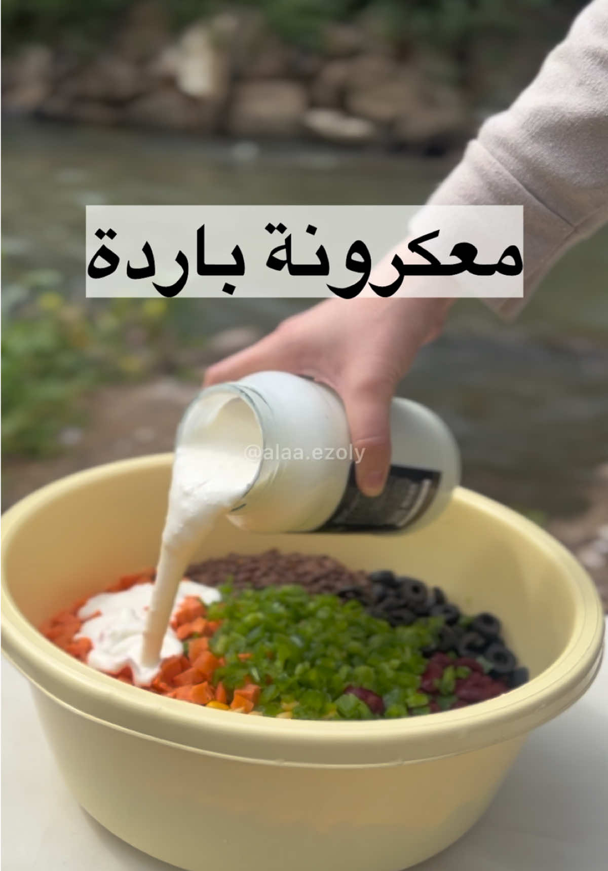 @الشيف الاء ايزولي
