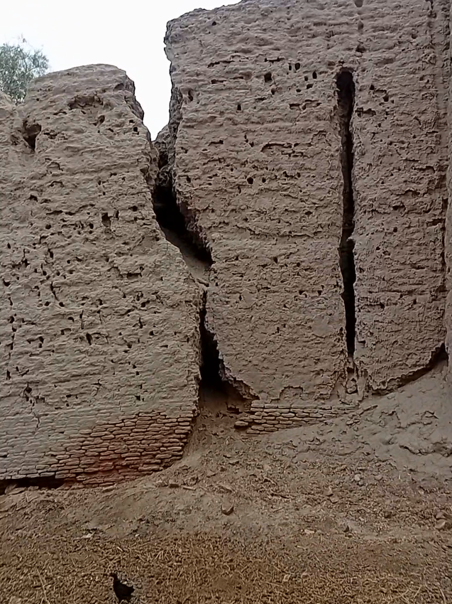 @faizubhira