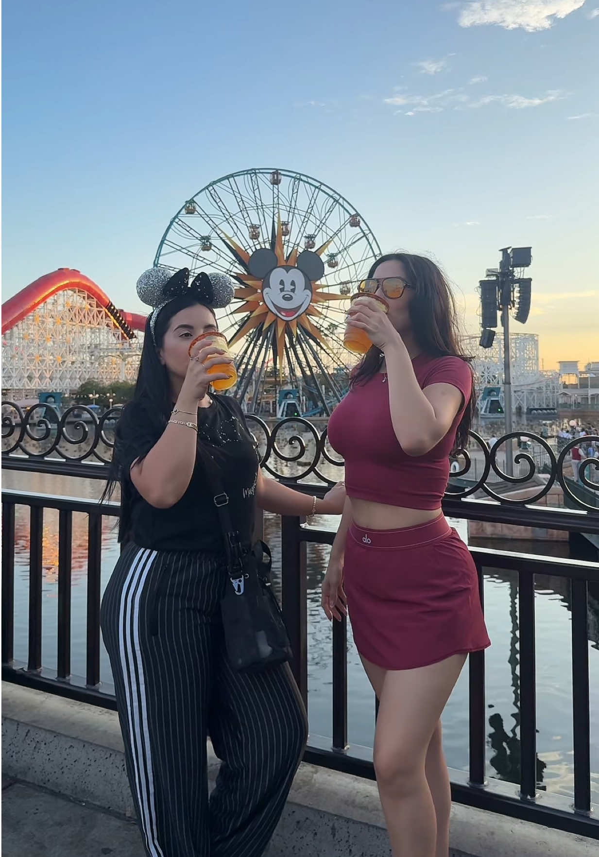 @alejandratijerina