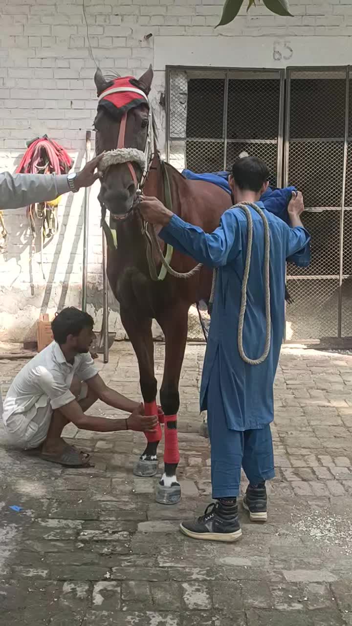 @JB JAVED