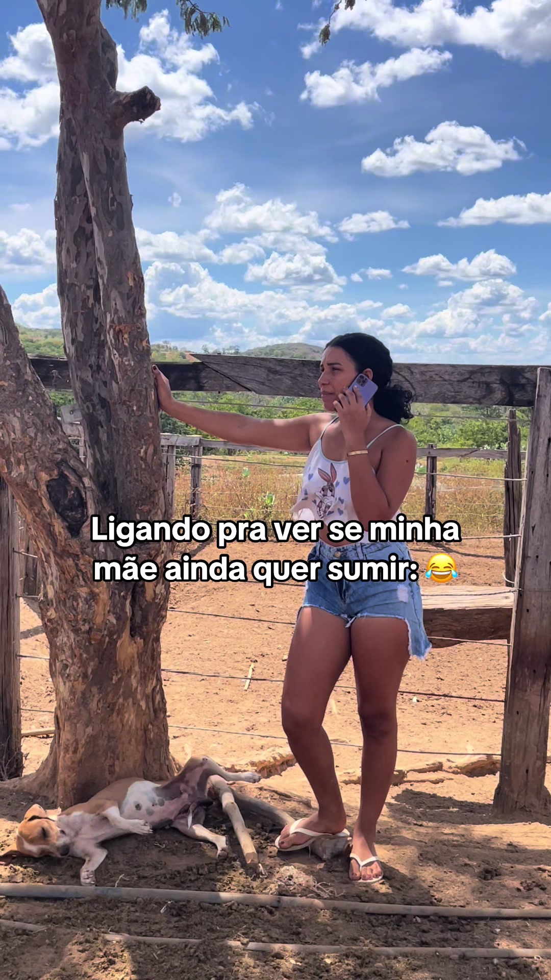 @monicadejatoba