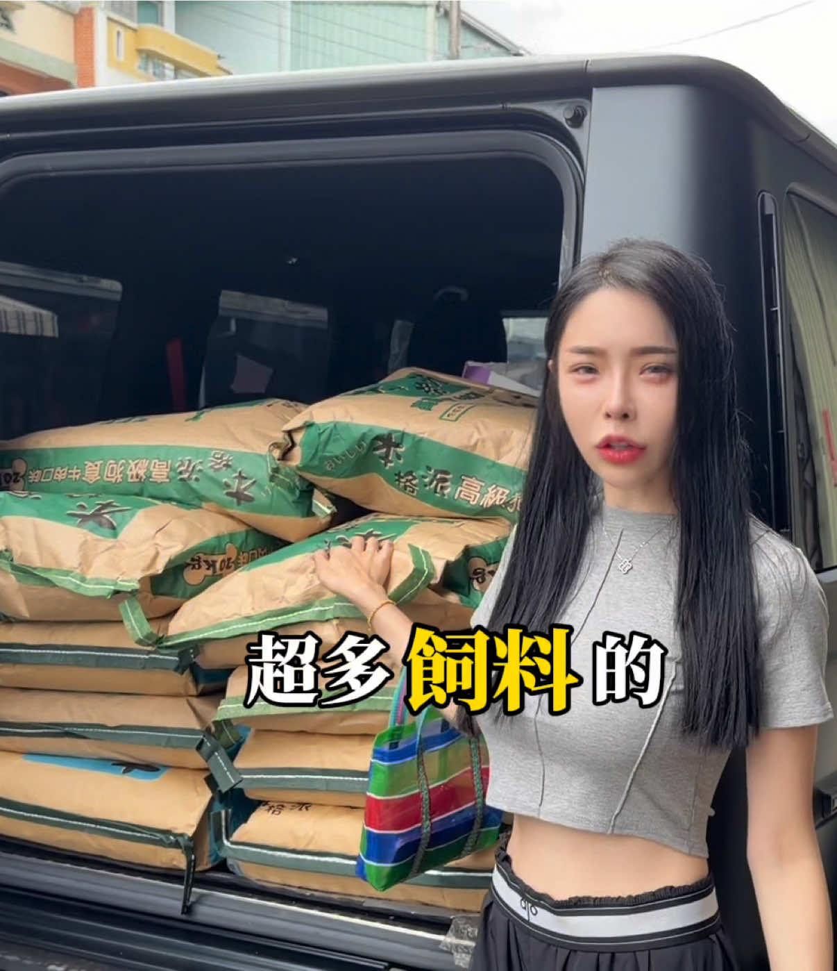 @養兩隻哈士奇的🍏
