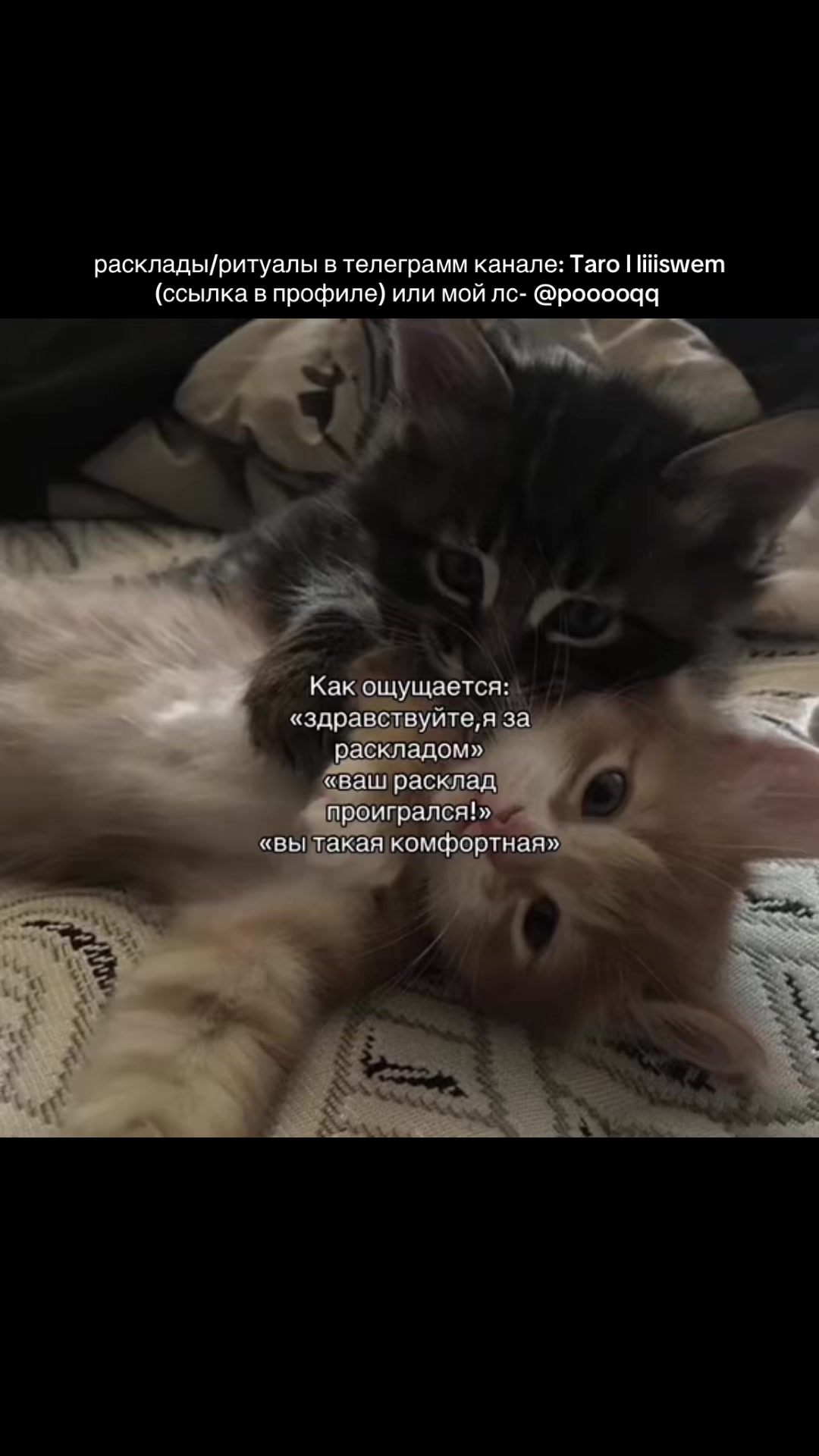 @Тгк: Таrо | liiiswem