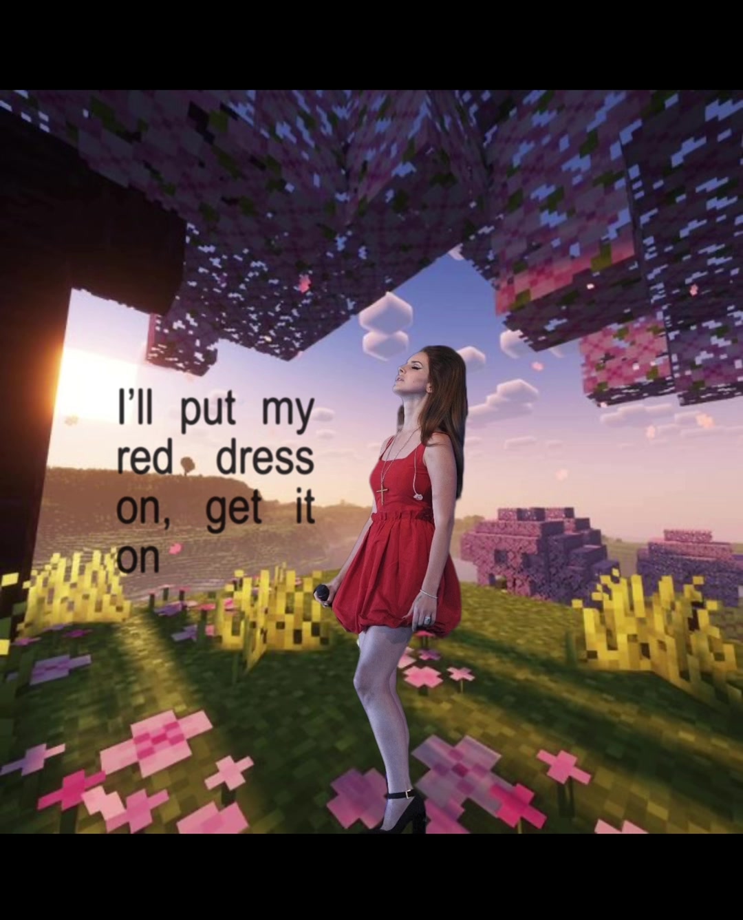 @du1mmy ‹𝟹