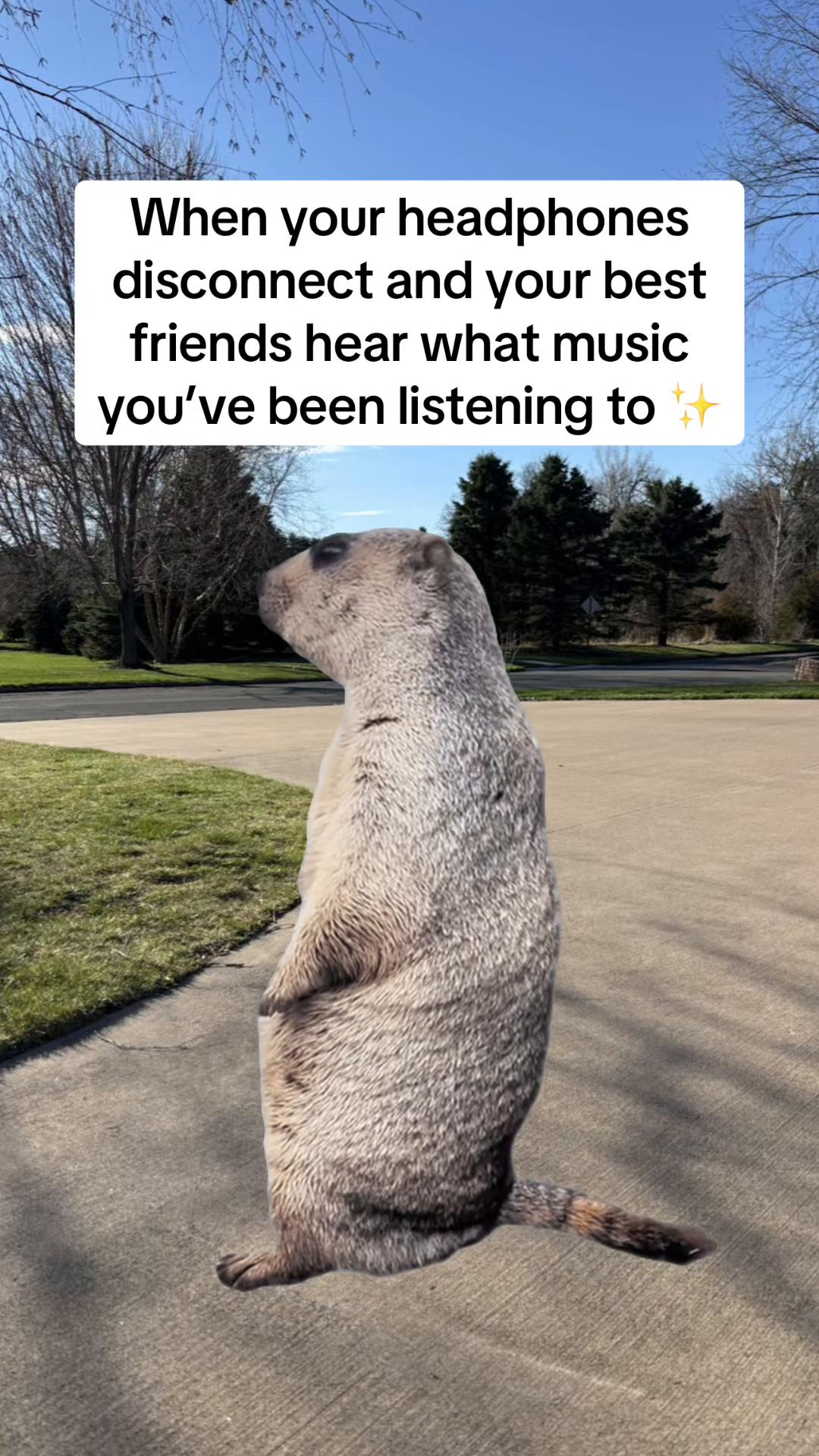 @Kaitlyn Mathaus ⧖